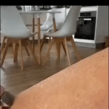 Maquinilla depilar 2 en 1